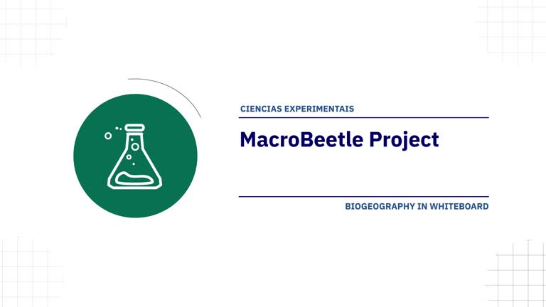 MacroBeetle Project