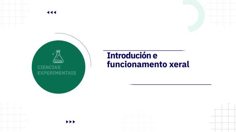 Introdución e funcionamento xeral
