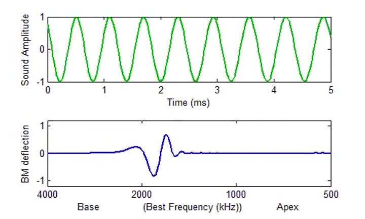 Bm fm response