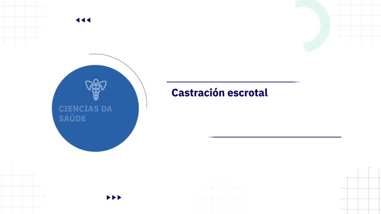 Castración escrotal