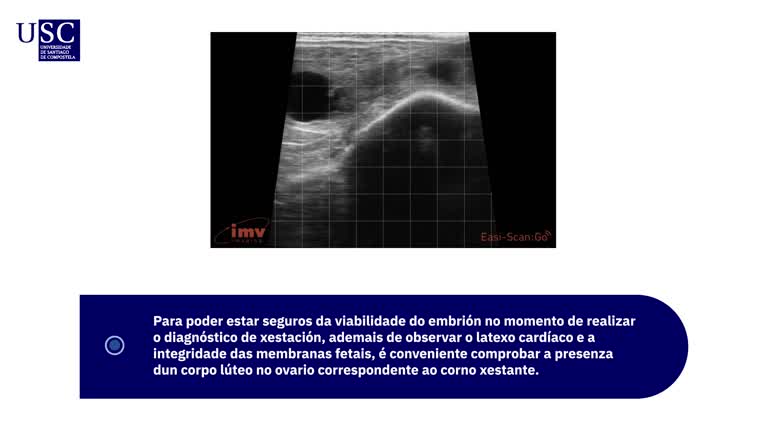 Video - Exploración ecográfica do aparello xenital de vaca - Diagnóstico de xestación