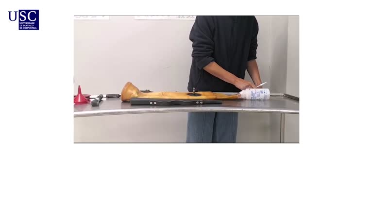 Video - Preparación da vaxina artificial para a recollida de seme no cabalo